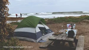 carpinteria state beach camping