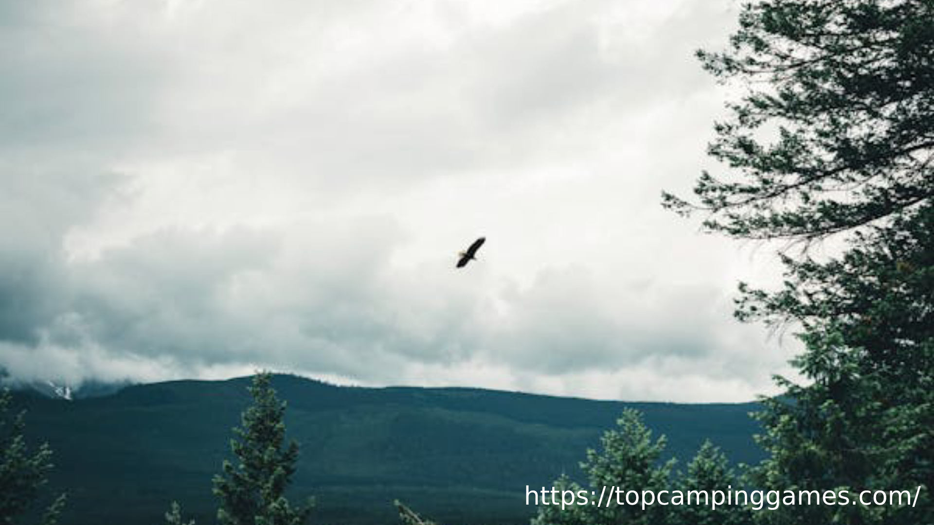 Eagle Lake Camping